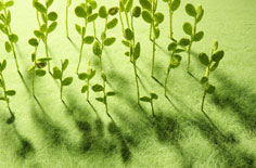 湖北宜昌：高山峡谷砺精兵