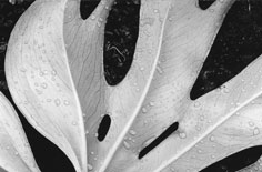 《英雄联盟》衍生格斗游戏《2XKO》确认明年 1 月 20 日登陆 PC、PS5、Xbox 平台