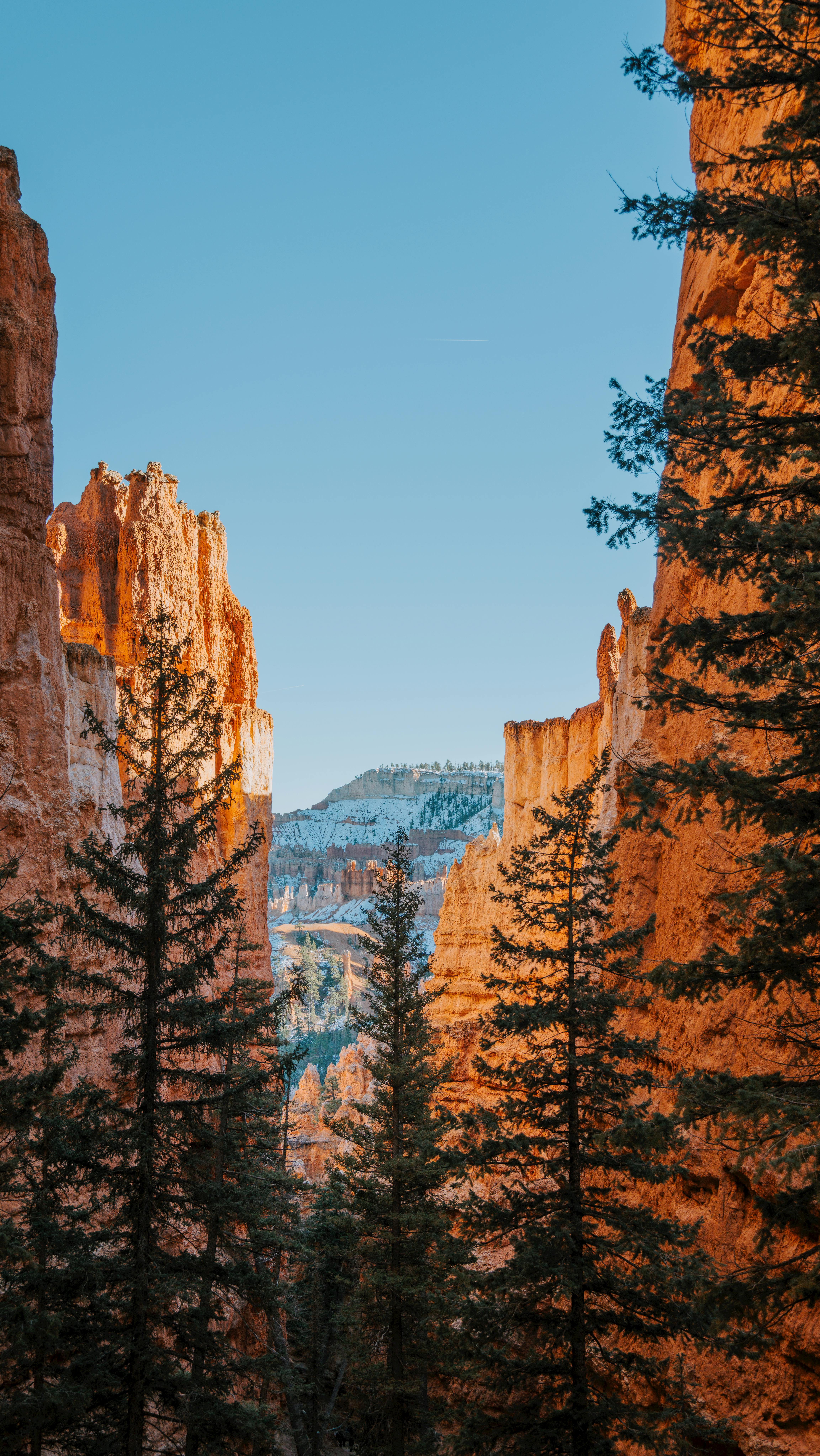 知乎：2025年Q3总收入6.59亿元，同比下降22%