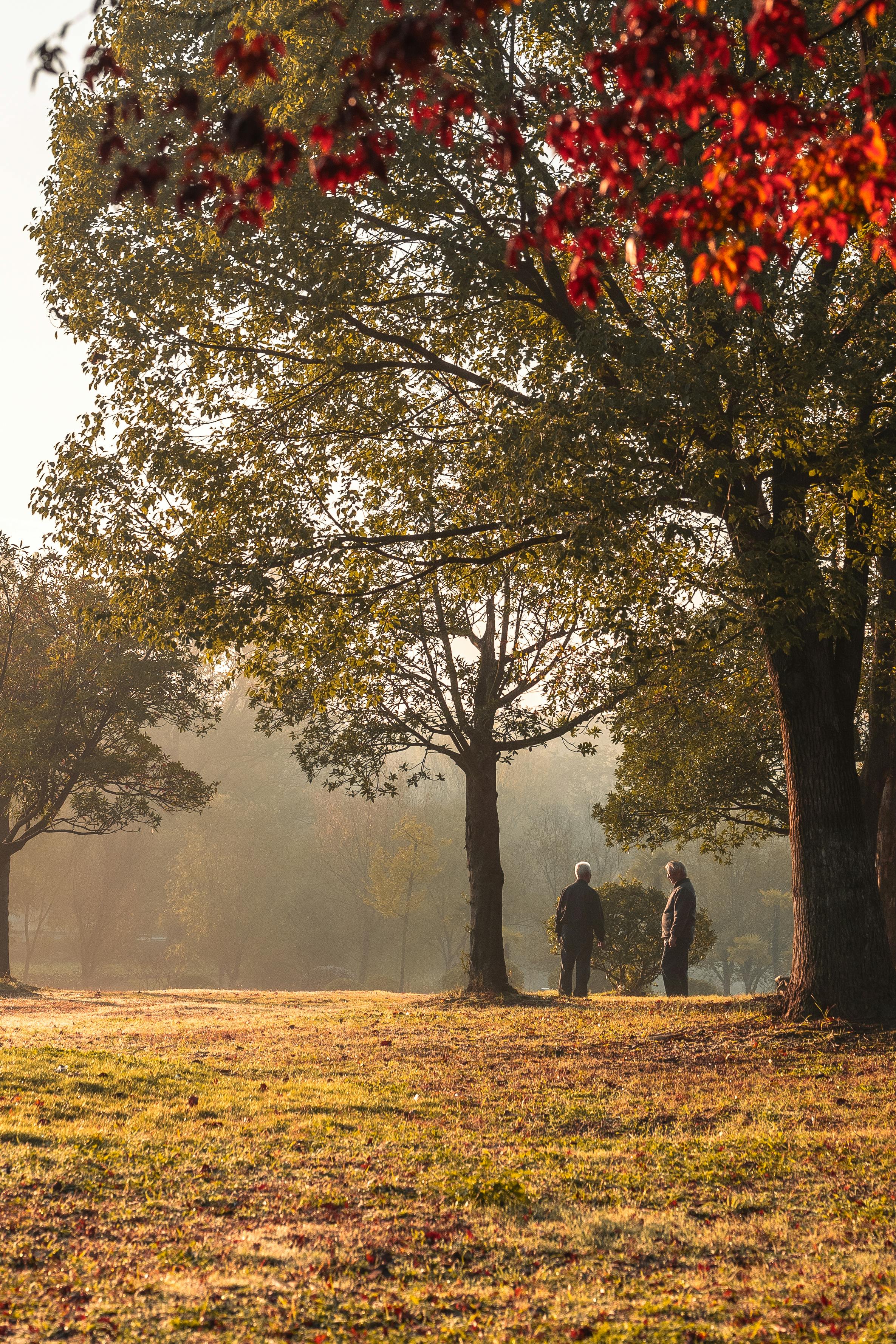 高市早苗言论被批“违宪且违法”，日本政界与民间批评持续升温 - 图片1