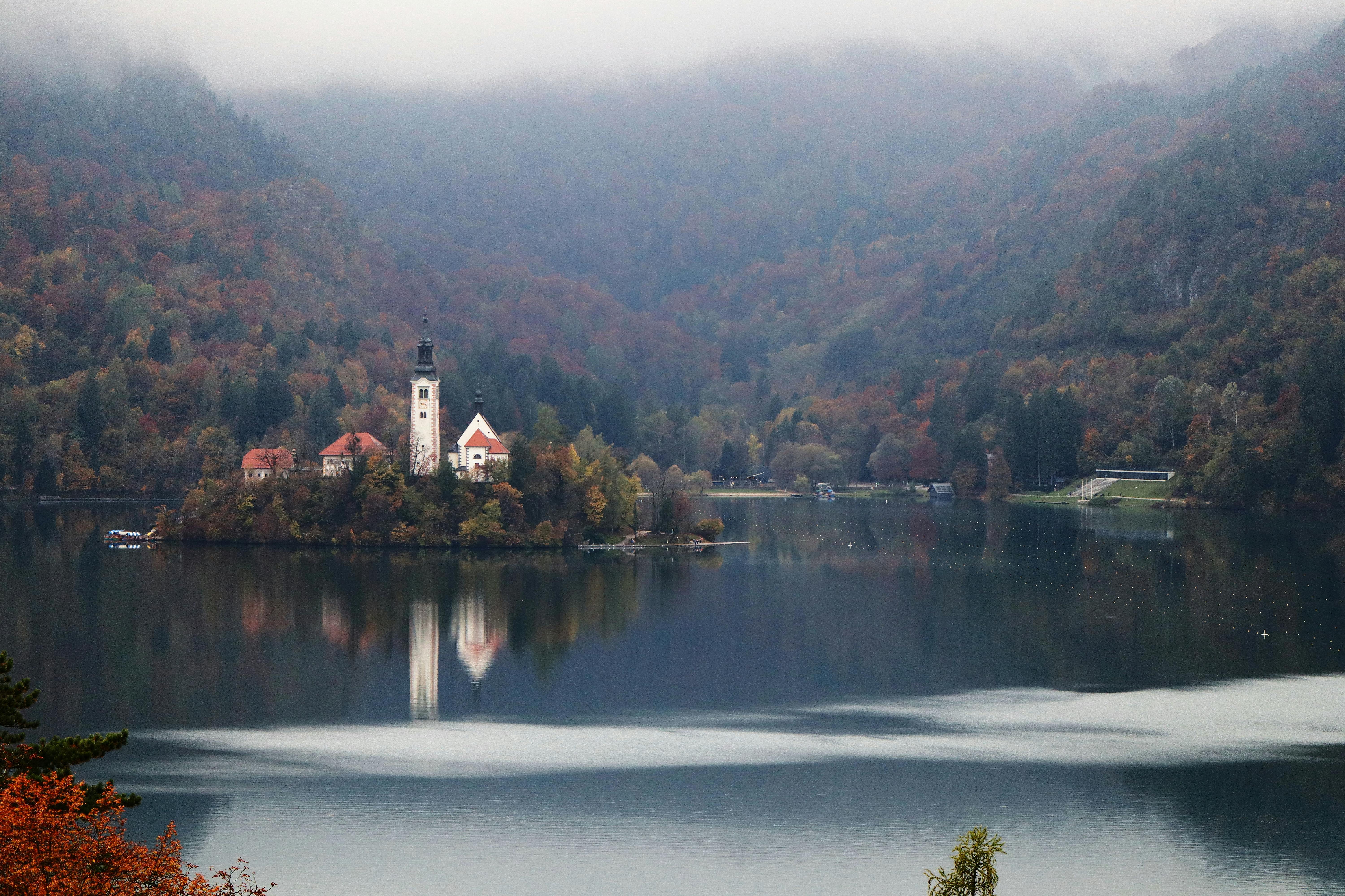 侨界代表为“川品出海”献良策：以侨为桥助力多维布局