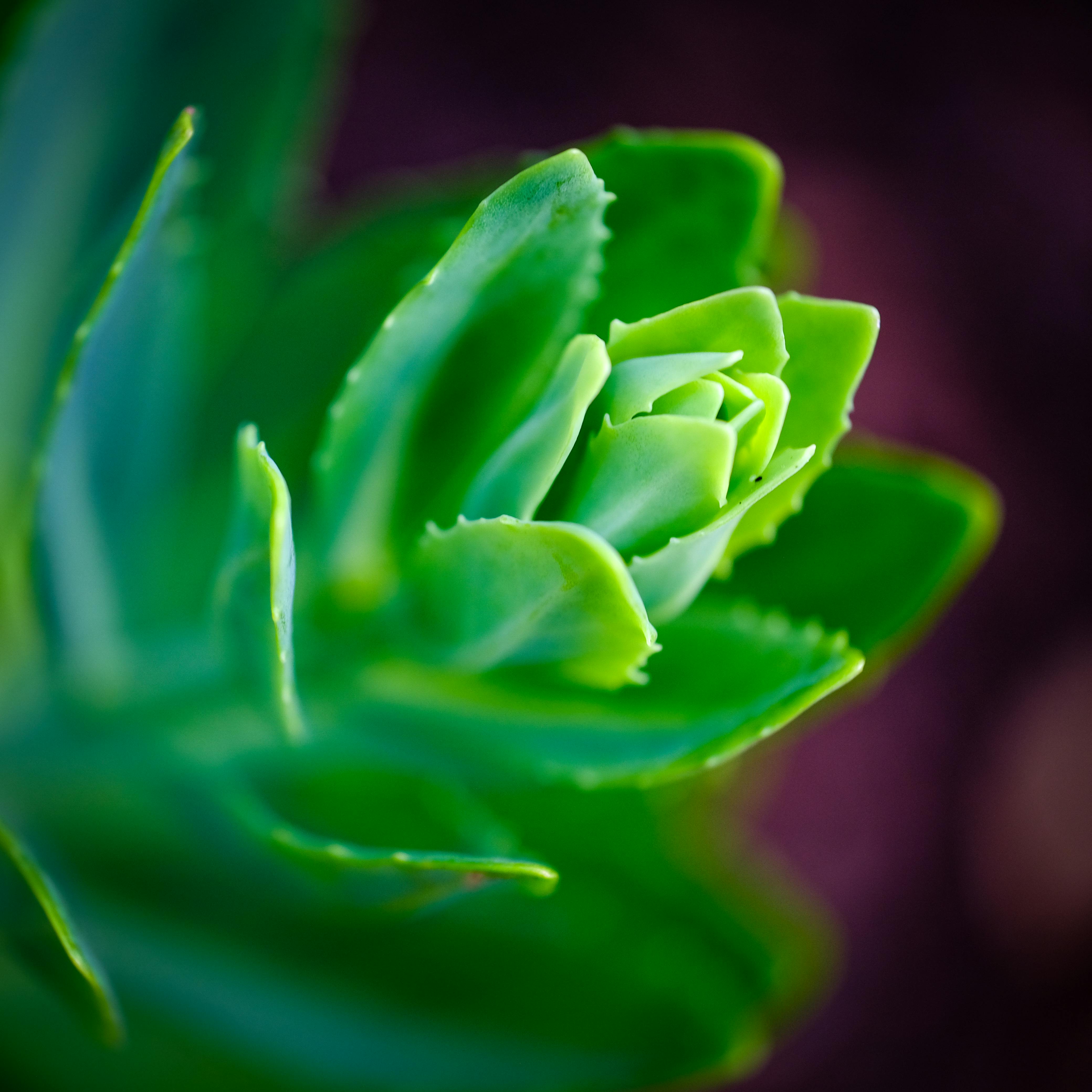 中国方案＋1，我国将牵头制定海洋能转换系统国际标准体系 - 图片1