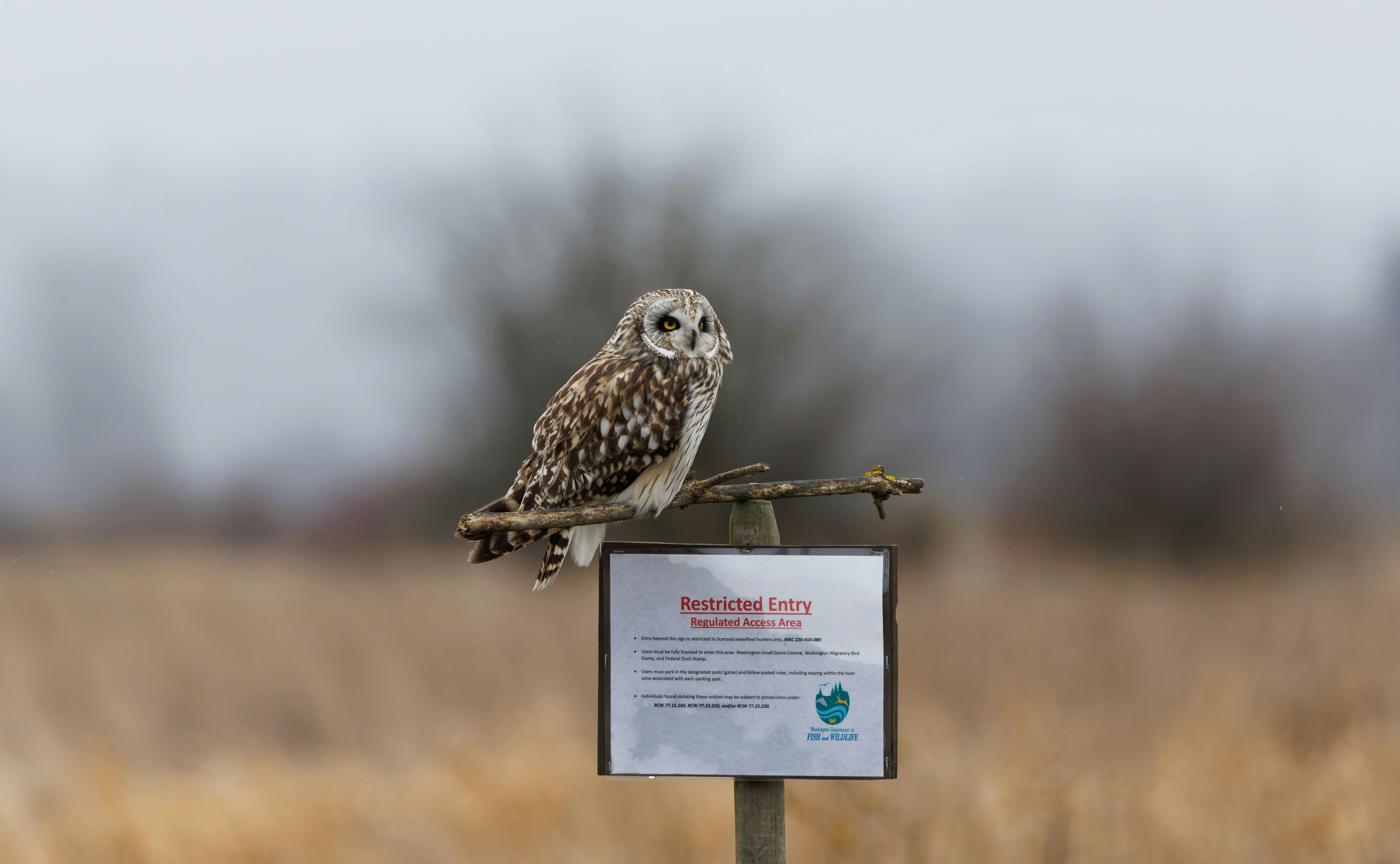 设计改版总是被吐槽？5个步骤做好设计升级 - 图片1