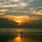 2025年北京城市图书馆接待读者超281万人次