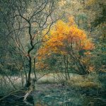 罗曼股份：子公司签订2.92亿元《算力设备采购合同》