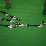 蔚来滇藏换电路线即将贯通，德钦梅里雪山站 1 月 1 日上线